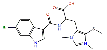 Leptoclinidamine C